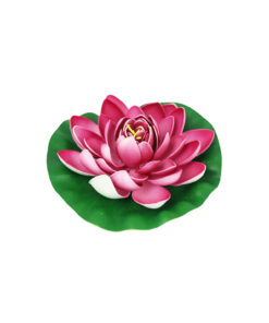 Pink Floating Water Lily 18cm