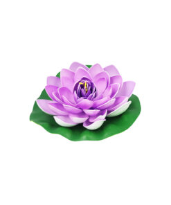 Purple Floating Water Lily 18cm