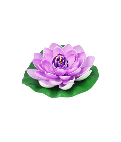 Purple Floating Water Lily 18cm