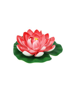 Pastel Red Floating Water Lily 18cm