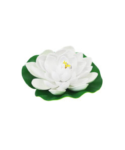 White Floating Water Lily 18cm