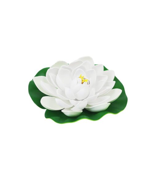 White Floating Water Lily 18cm