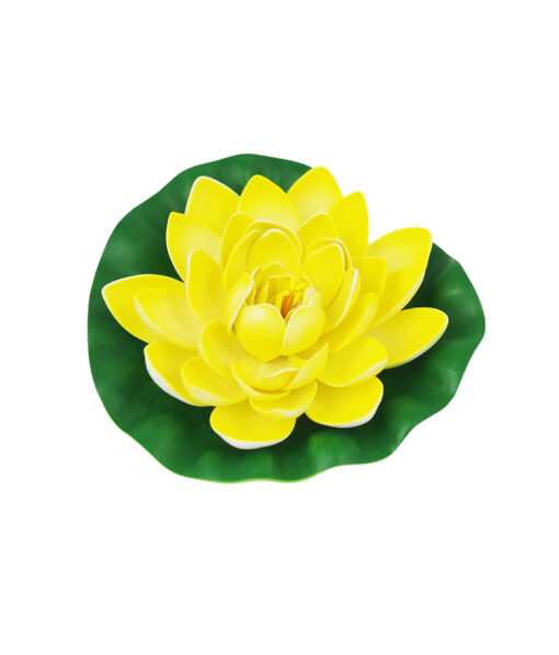 Yellow Floating Water Lily 18cm