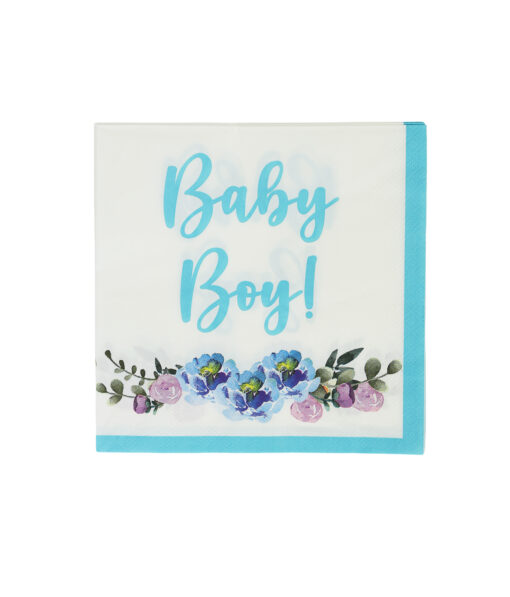 Baby Boy Large Napkins 33x33cm 24pc