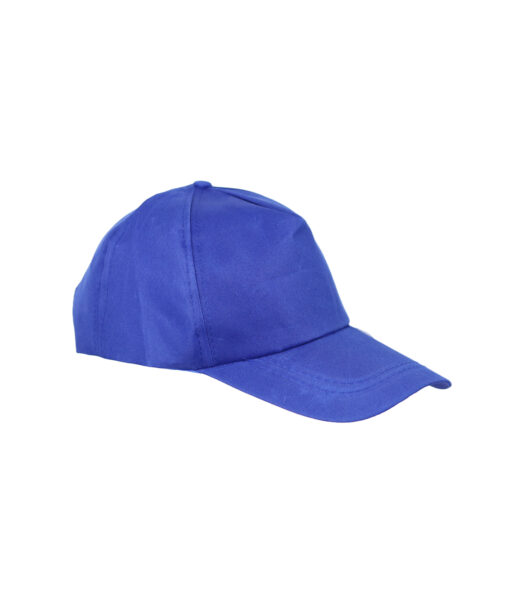 Blue Snapback Cap For Adult