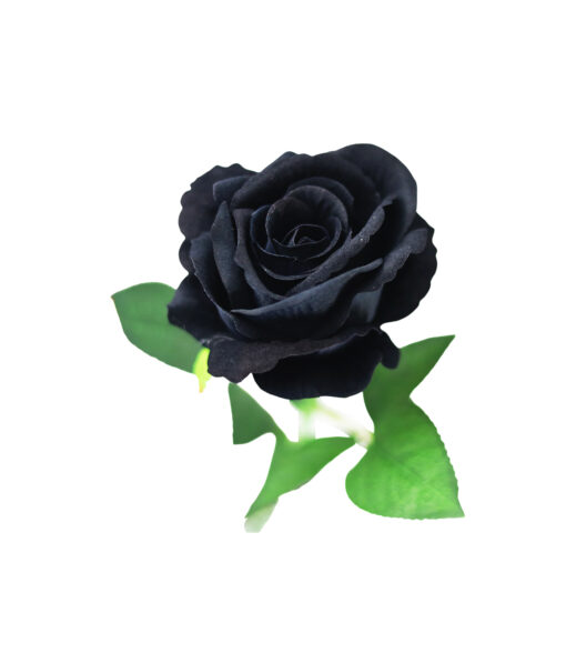 Black Artificial Velvet Rose 1 Head 51cm