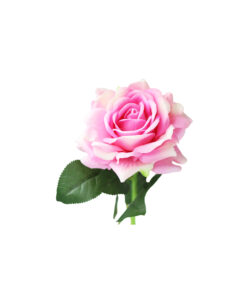 Pink Artificial Rose 1 Head 74cm