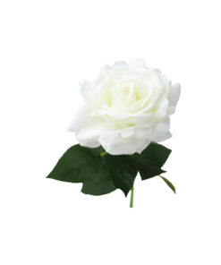 White Artificial Rose 1 Head 74cm