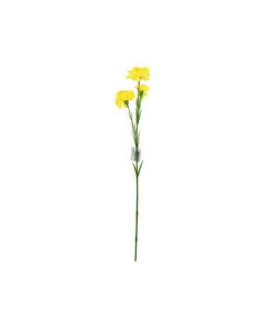 Single Carnation 3 bunch 64cm