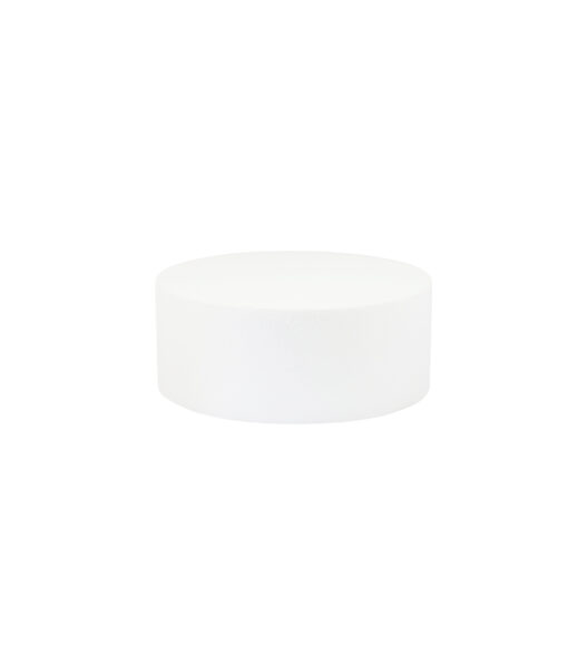 Round Cake Dummy 10 Inch