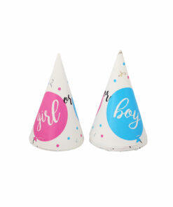 Boy or Girl Paper Hats 10pc 14x20cm